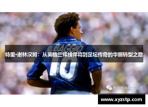 特里·谢林汉姆：从英格兰锋线悍将到足坛传奇的华丽转型之路