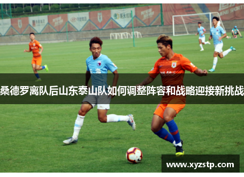 桑德罗离队后山东泰山队如何调整阵容和战略迎接新挑战 桑德罗离队后山东泰山队如何调整阵容和战略迎接新挑战