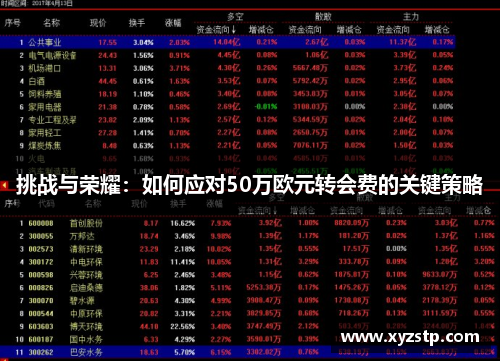 挑战与荣耀：如何应对50万欧元转会费的关键策略